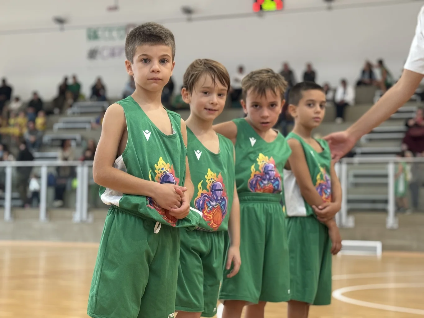 Foto Scoiattoli
