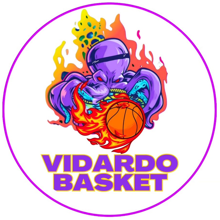 Logo Vidardo Basket